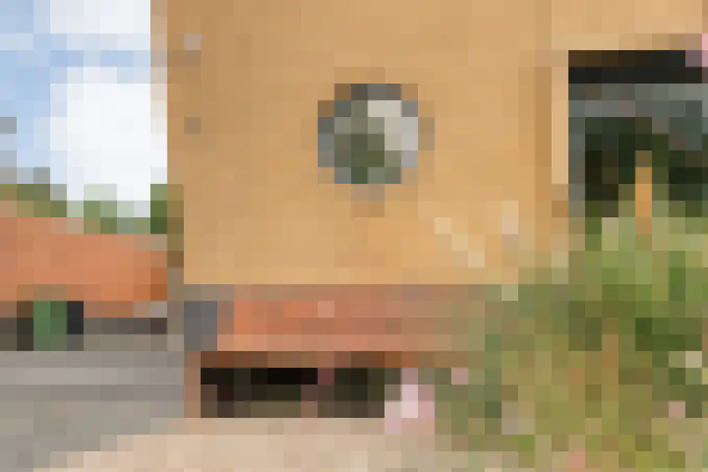Noorddreef 4 Hoogeveen thumbnail 10