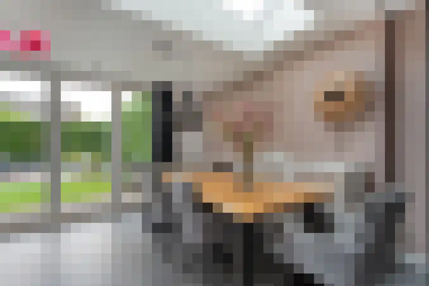 Noorddreef 4 Hoogeveen thumbnail 20