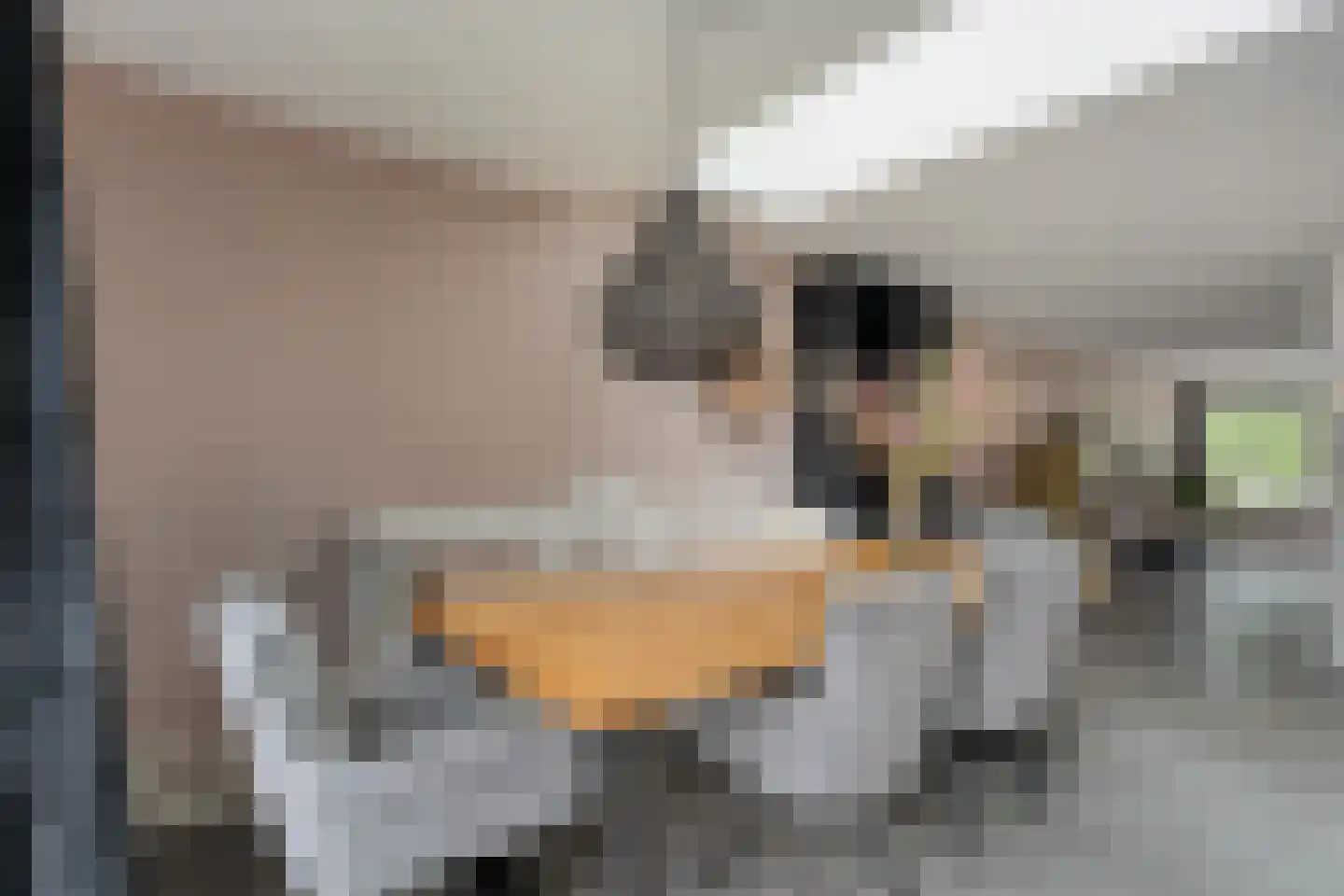 Noorddreef 4 Hoogeveen thumbnail 21