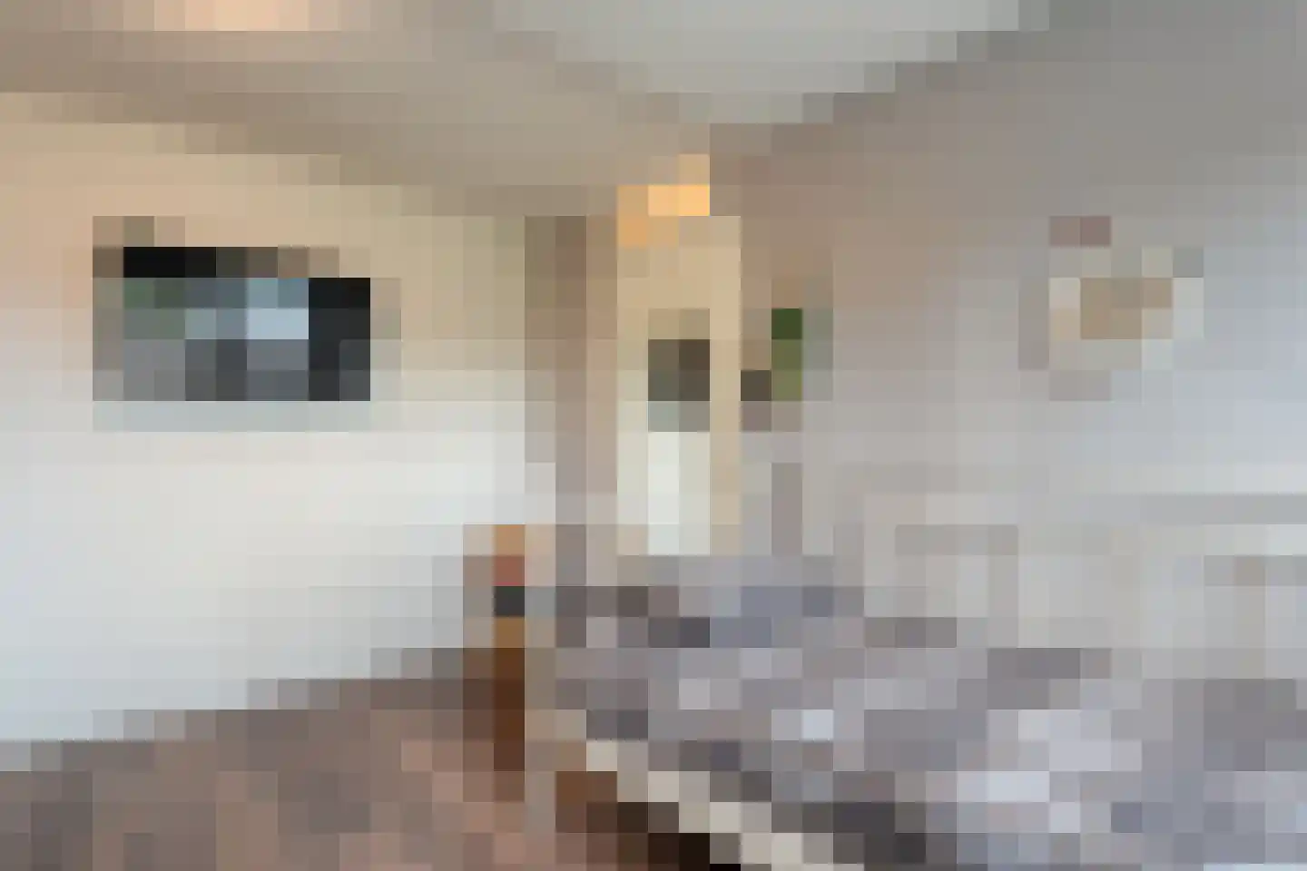 Noorddreef 4 Hoogeveen thumbnail 41