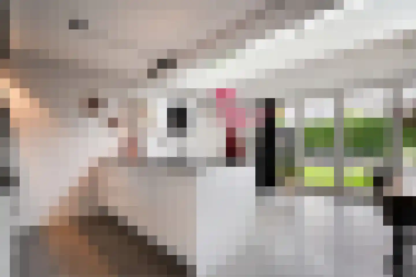 Noorddreef 4 Hoogeveen thumbnail 5