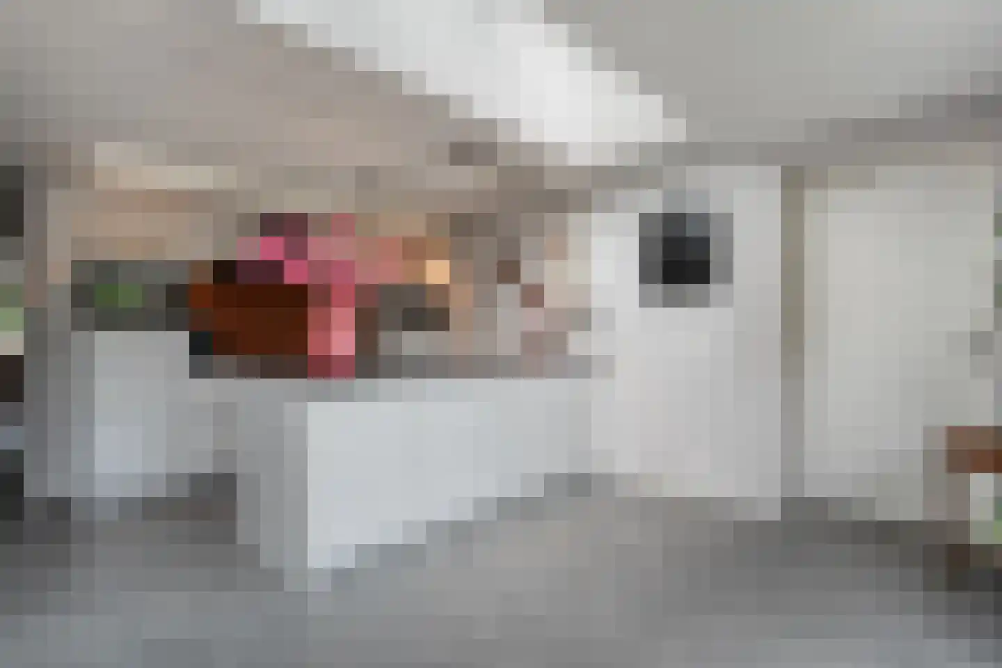 Noorddreef 4 Hoogeveen thumbnail 6