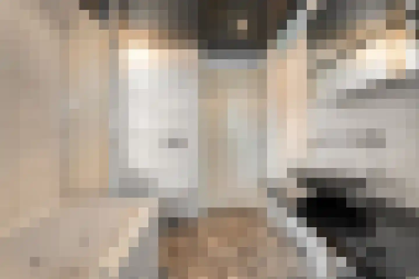 Noorddreef 4 Hoogeveen thumbnail 7
