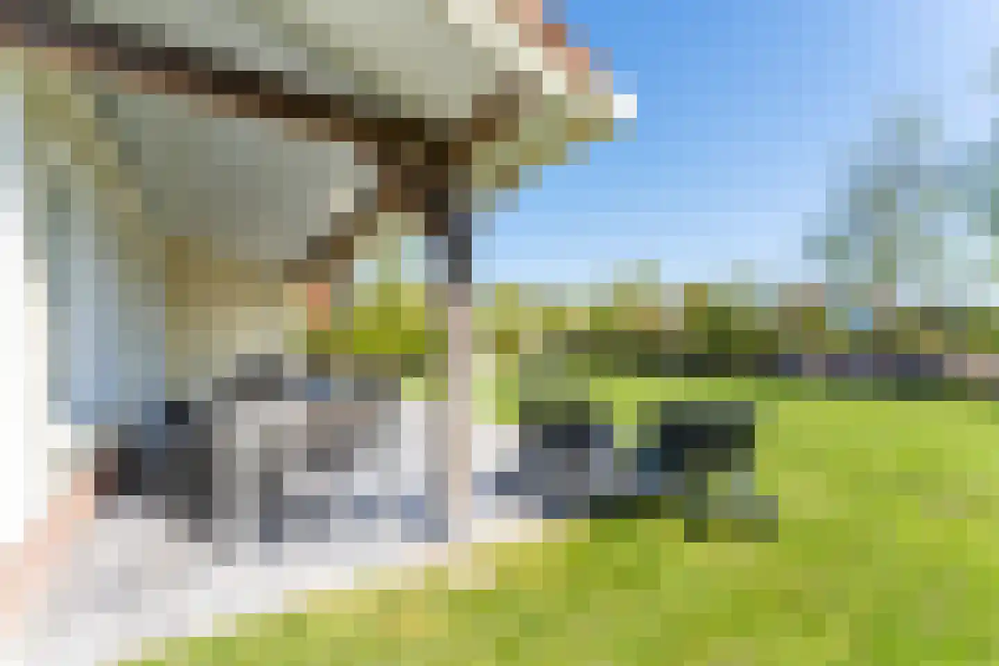 Noordduynen 16 Cadzand thumbnail 30