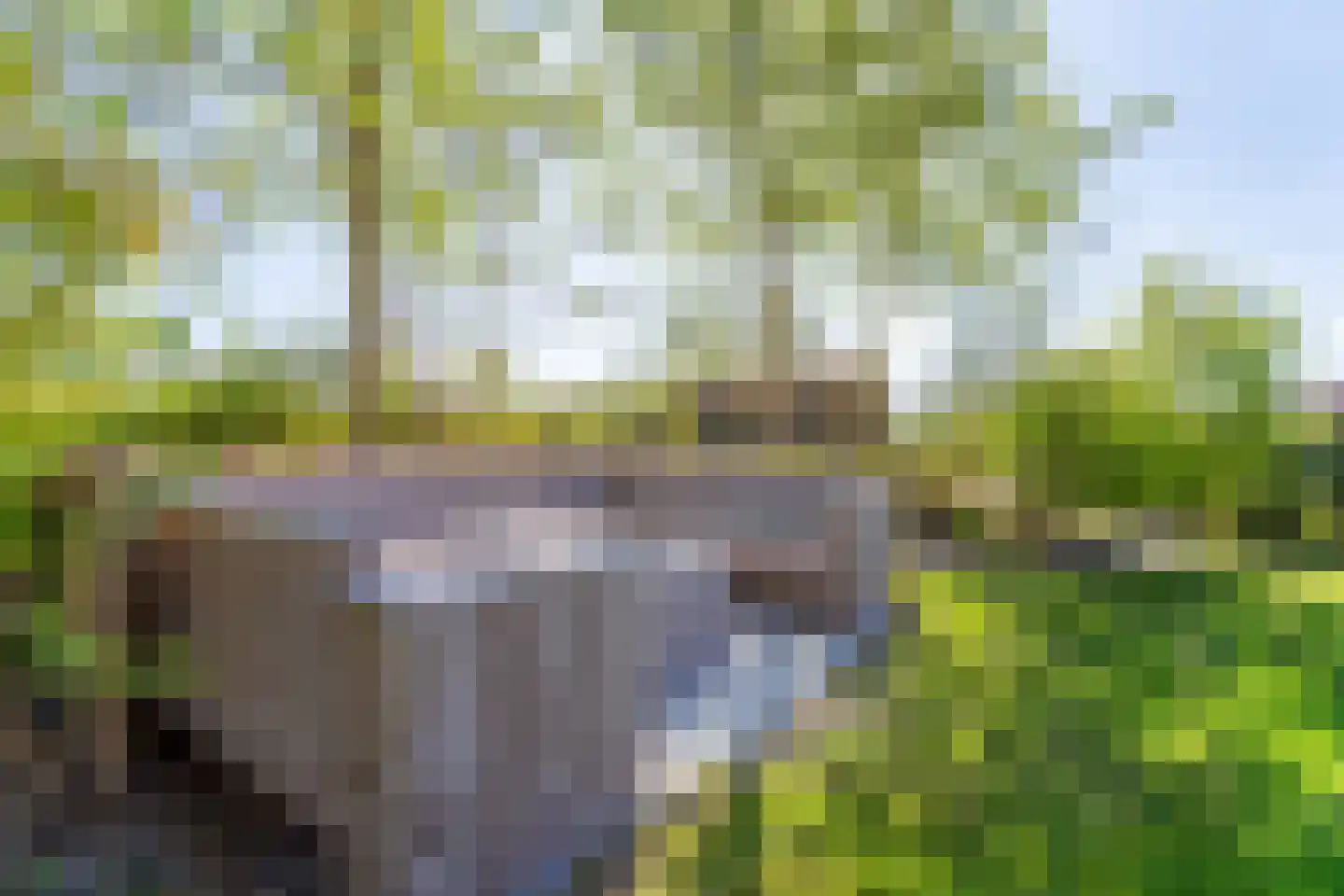 Noordduynen 16 Cadzand thumbnail 31