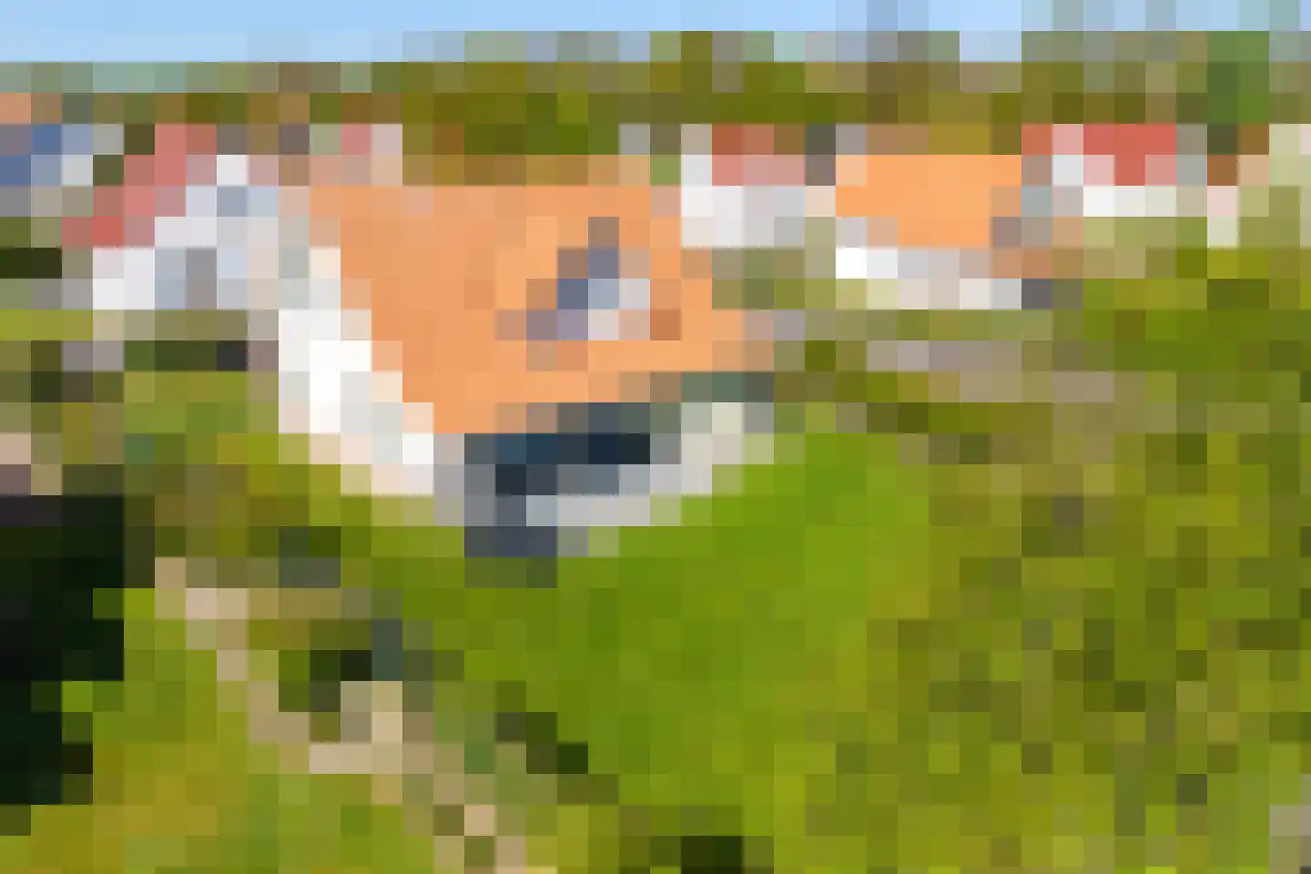 Noordduynen 16 Cadzand thumbnail 32