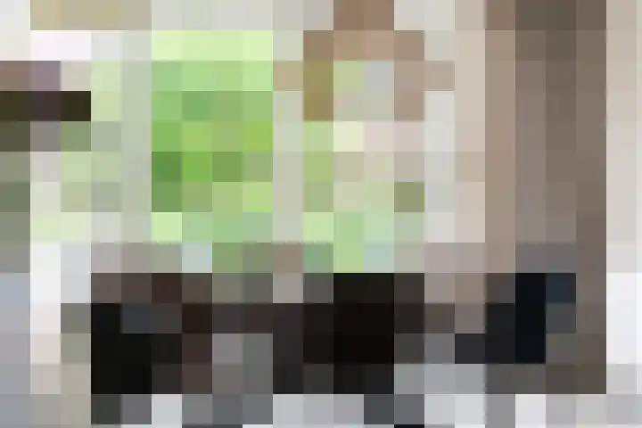Noordeand 6 St.-Annaparochie thumbnail 17