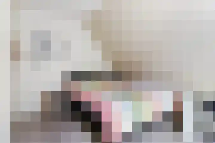 Noordeand 6 St.-Annaparochie thumbnail 27