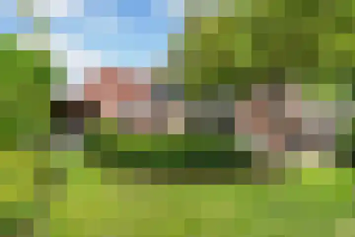 Noordeand 6 St.-Annaparochie thumbnail 31
