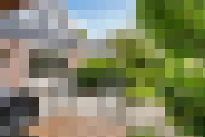 Noordeand 6 St.-Annaparochie thumbnail 32