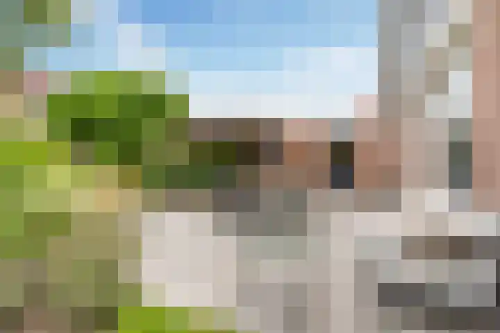 Noordeand 6 St.-Annaparochie thumbnail 33