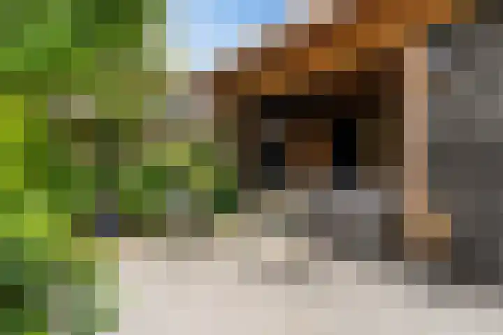 Noordeand 6 St.-Annaparochie thumbnail 35