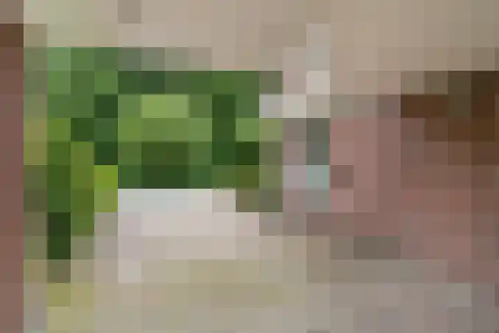 Noordeand 6 St.-Annaparochie thumbnail 37