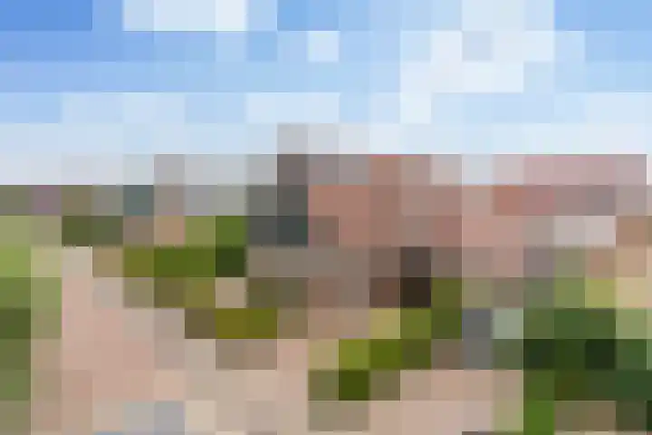 Noordeand 6 St.-Annaparochie thumbnail 38