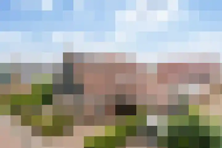 Noordeand 6 St.-Annaparochie thumbnail 43