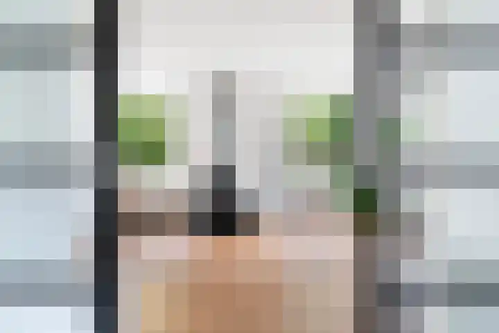Noordeand 6 St.-Annaparochie thumbnail 7