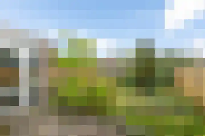 Noordeind 43 Emmen thumbnail 17
