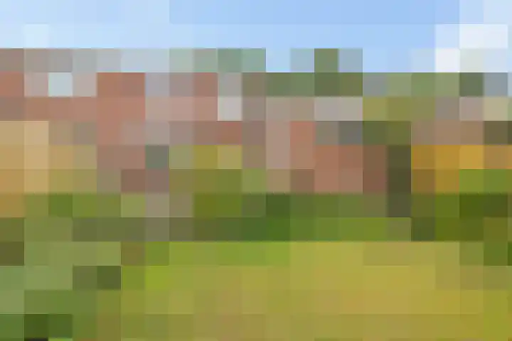 Noordeind 43 Emmen thumbnail 18