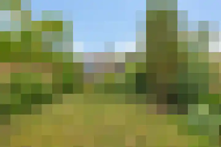 Noordeind 43 Emmen thumbnail 19