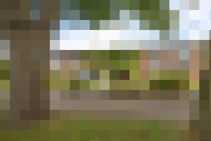 Noordeind 43 Emmen thumbnail 21