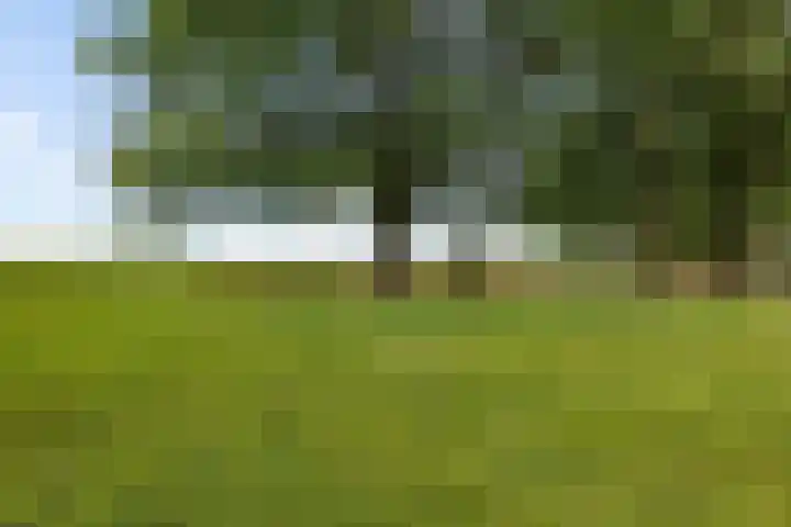Noordeind 43 Emmen thumbnail 22