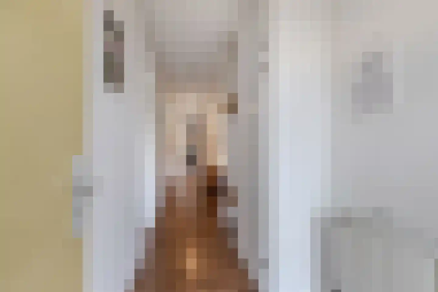 Noordeinde 1 02 Marknesse thumbnail 25