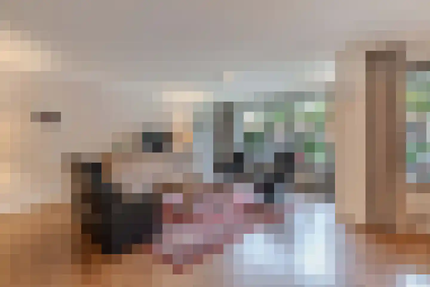 Noordeinde 1 02 Marknesse thumbnail 29