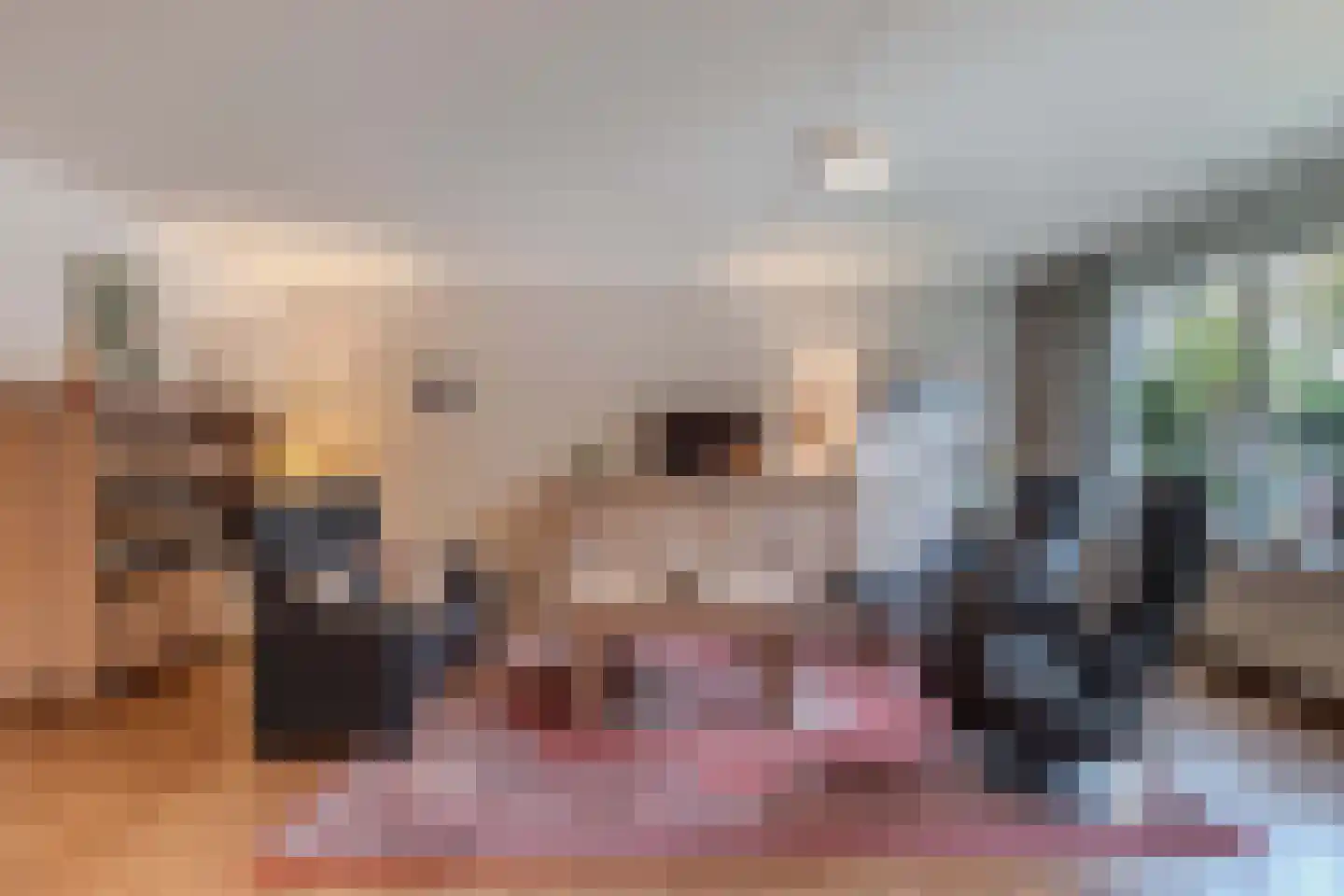 Noordeinde 1 02 Marknesse thumbnail 30