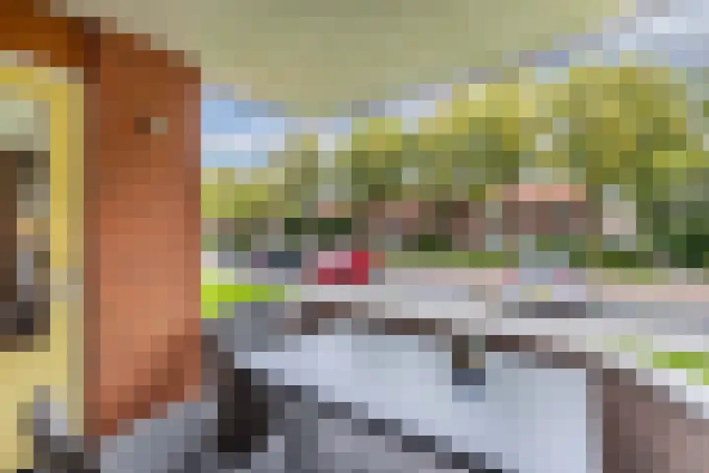 Noordeinde 1 02 Marknesse thumbnail 37