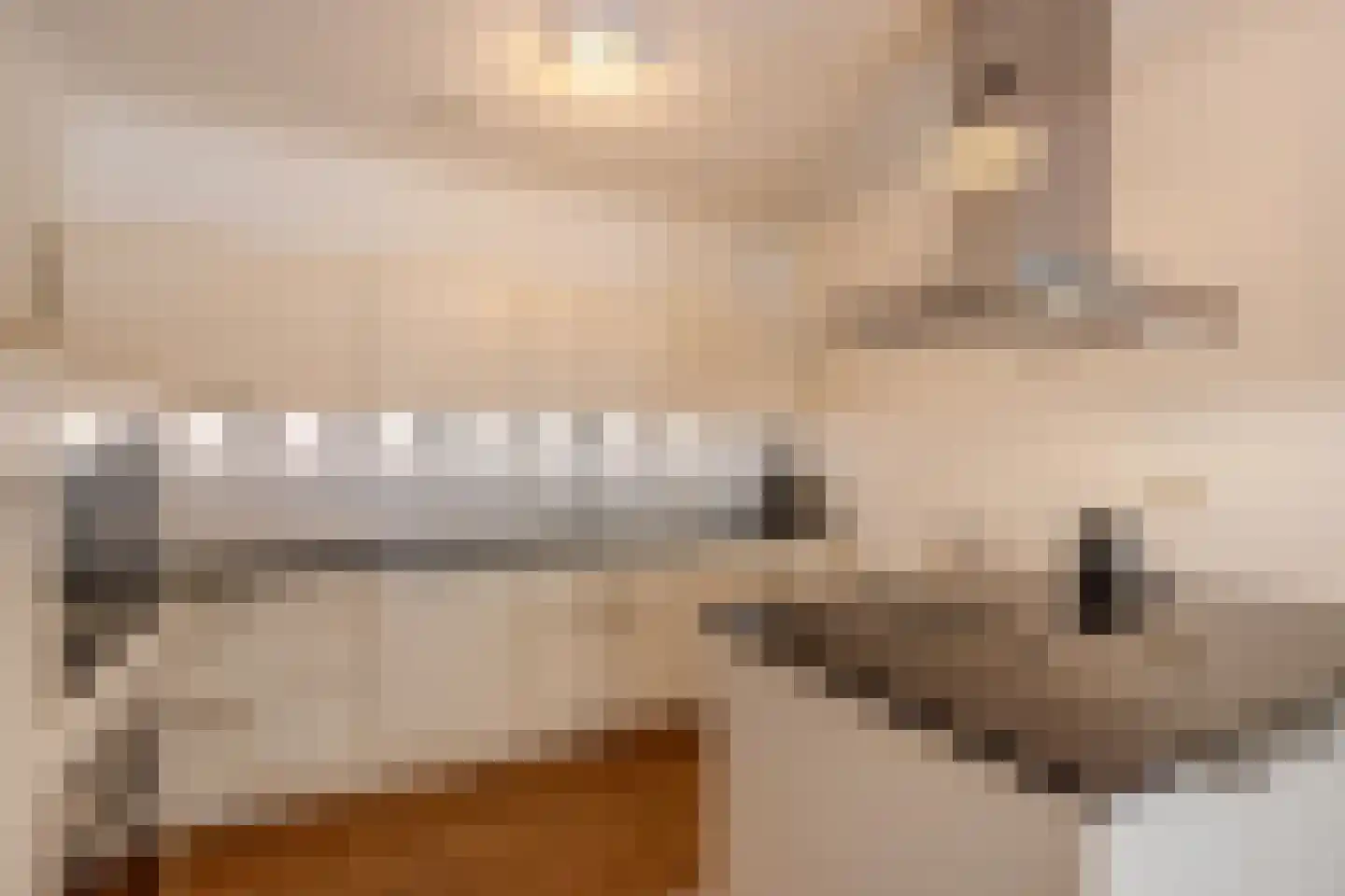 Noordeinde 1 02 Marknesse thumbnail 40