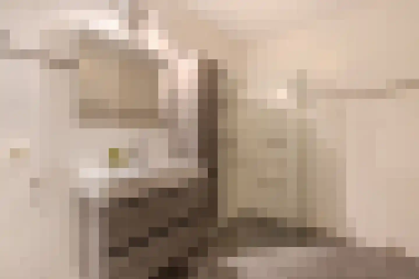 Noordeinde 1 02 Marknesse thumbnail 48