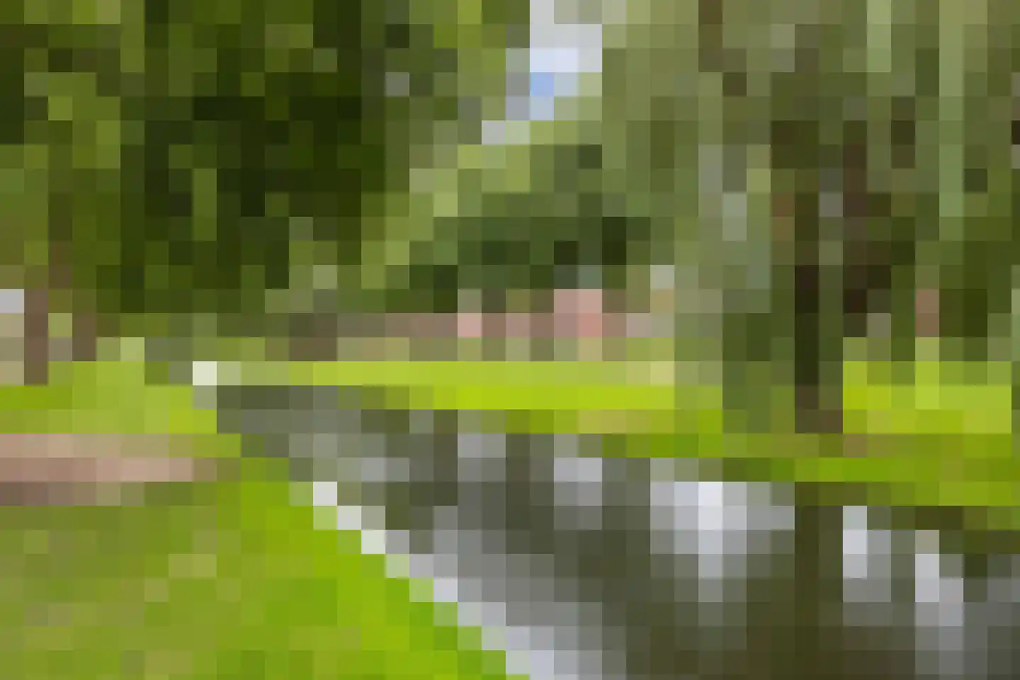 Noordeinde 1 02 Marknesse thumbnail 51