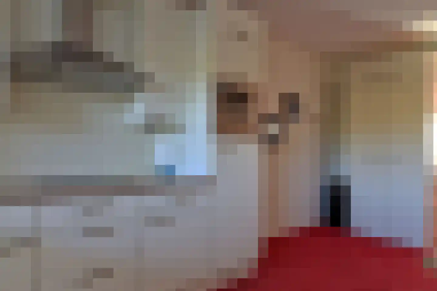 Noordeinde 1 21 Marknesse thumbnail 13
