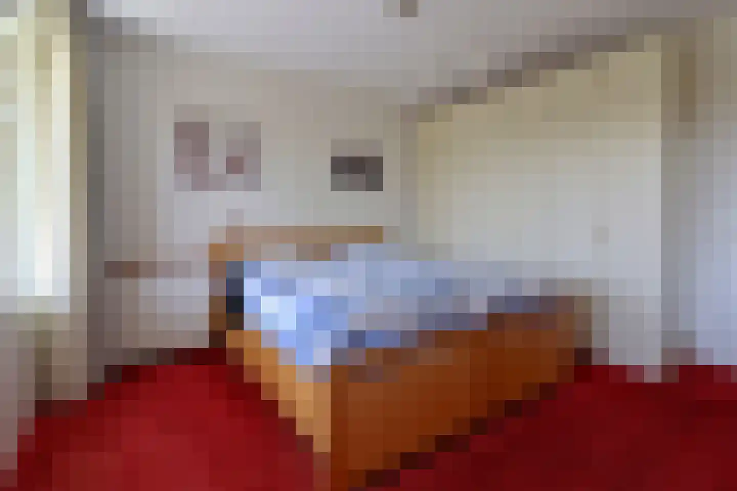 Noordeinde 1 21 Marknesse thumbnail 19
