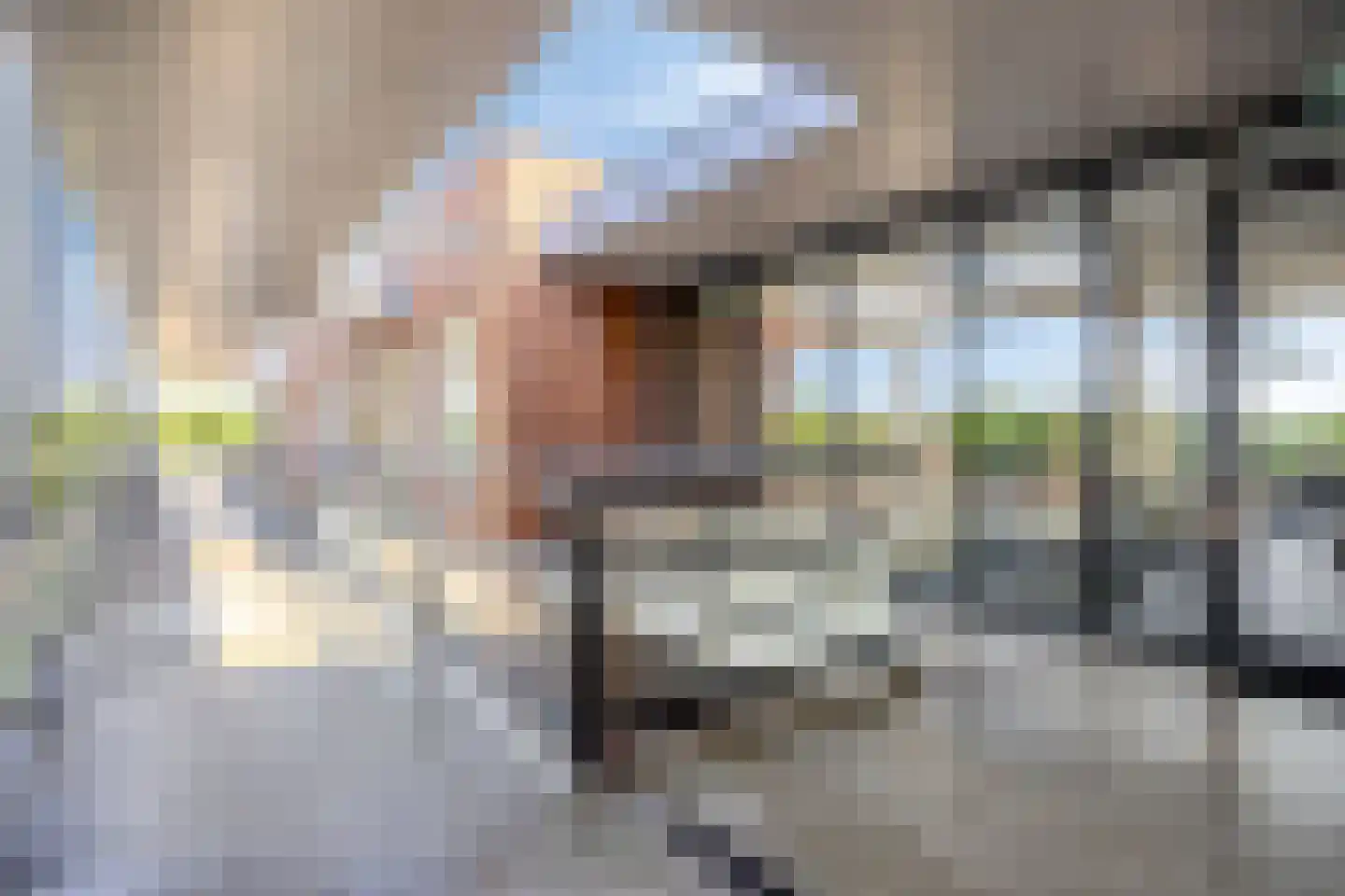 Noordeinde 1 32 Marknesse thumbnail 12
