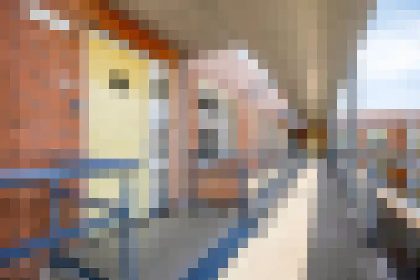 Noordeinde 1 32 Marknesse thumbnail 13