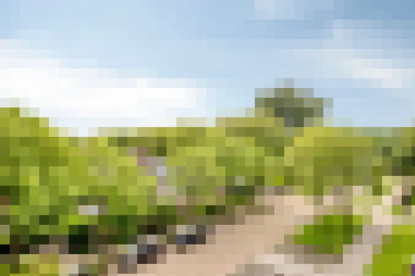 Noordeinde 1 32 Marknesse thumbnail 31