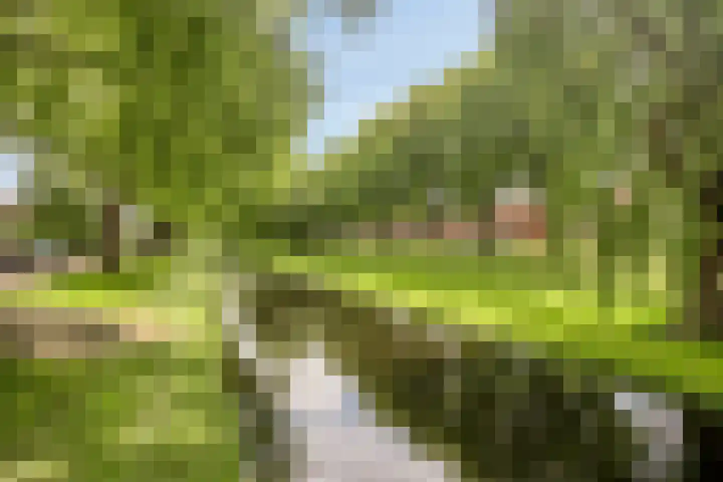 Noordeinde 1 32 Marknesse thumbnail 36