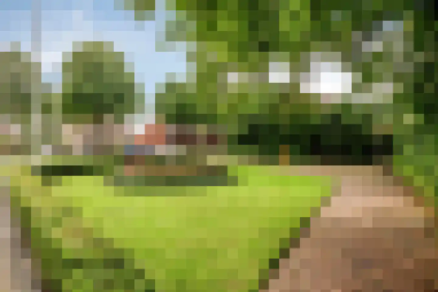 Noordeinde 1 32 Marknesse thumbnail 38