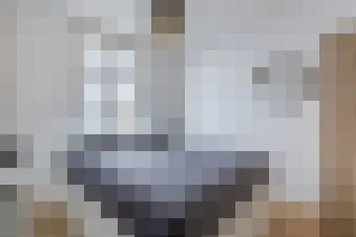 Noordeinde 1 A Wormerveer thumbnail 16
