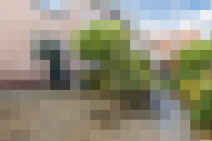 Noordeinde 1 A Wormerveer thumbnail 21