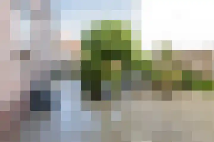 Noordeinde 1 A Wormerveer thumbnail 22