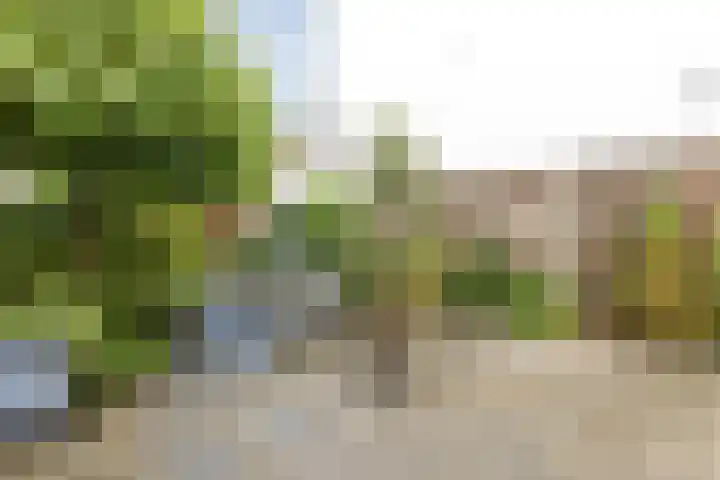 Noordeinde 1 A Wormerveer thumbnail 23