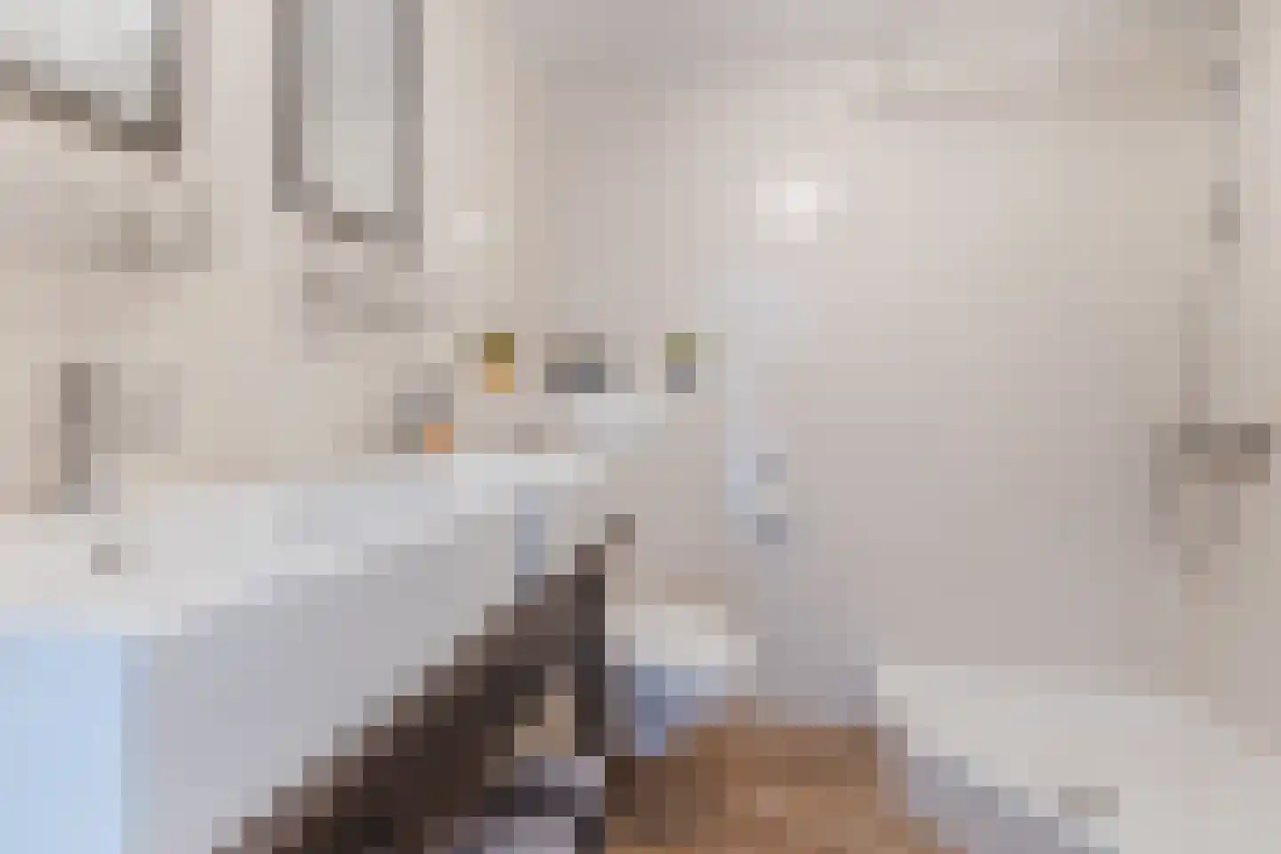 Noordeinde 1 F Wormerveer thumbnail 18