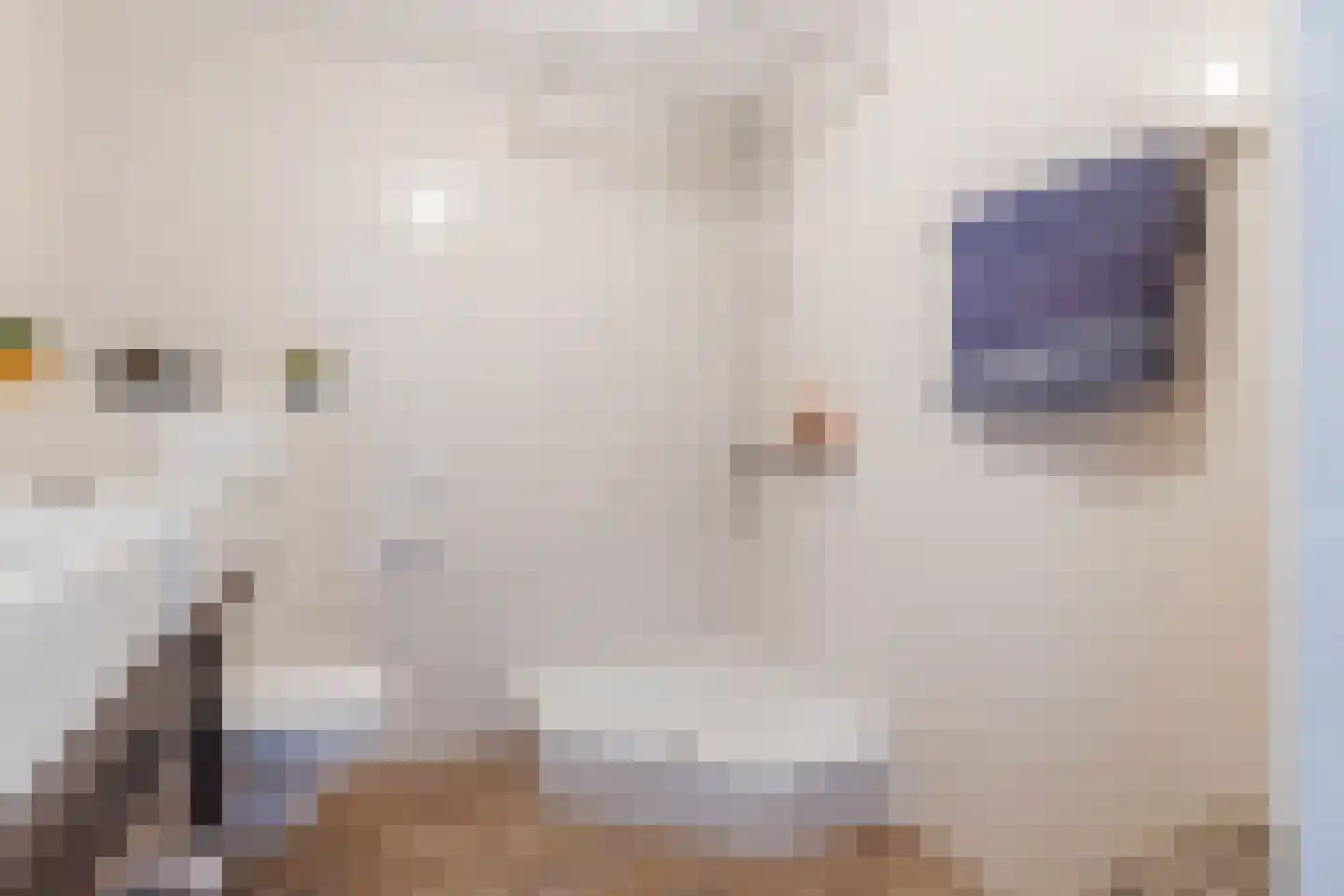 Noordeinde 1 F Wormerveer thumbnail 19