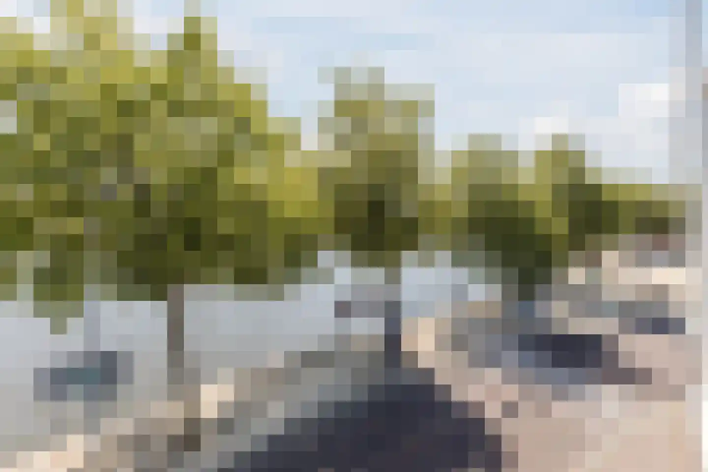 Noordeinde 1 F Wormerveer thumbnail 26