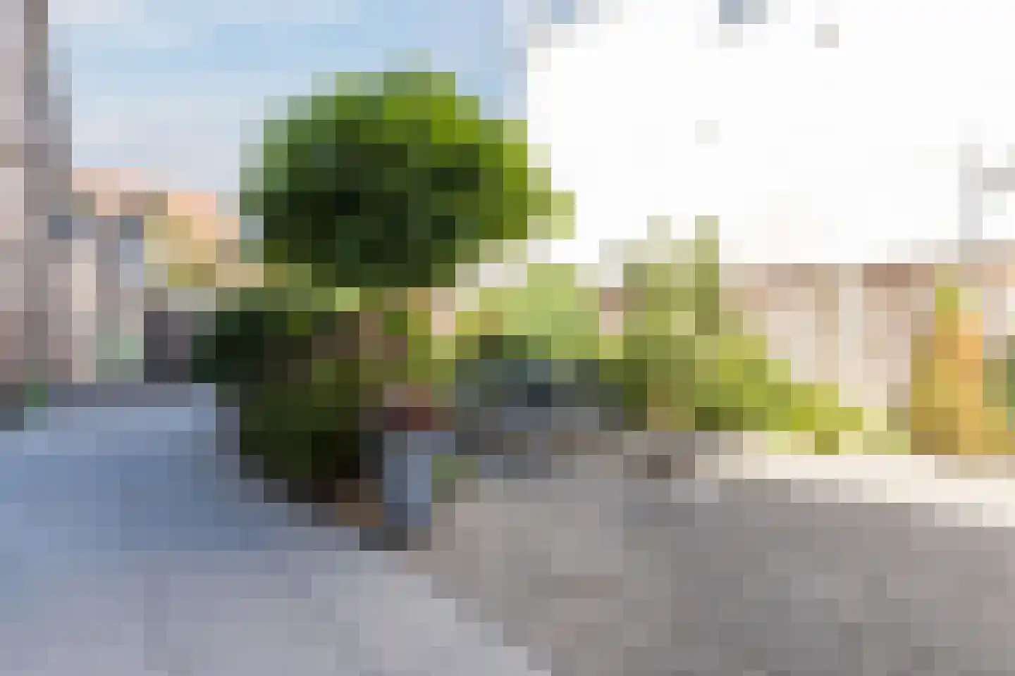 Noordeinde 1 F Wormerveer thumbnail 27