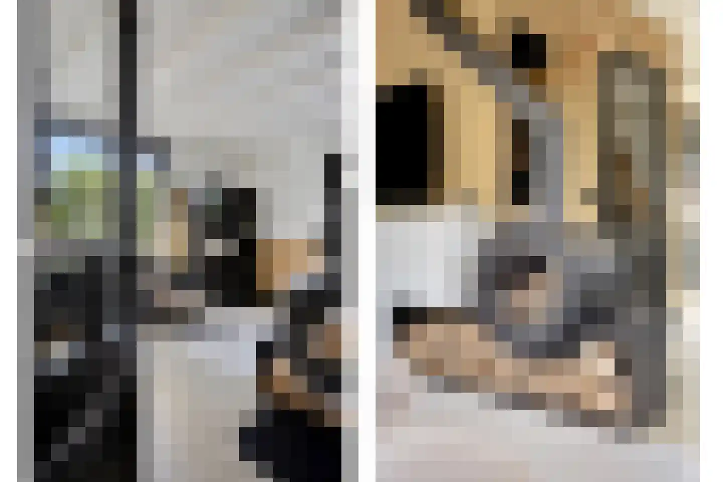 Noordeinde 1 Lambertschaag thumbnail 13