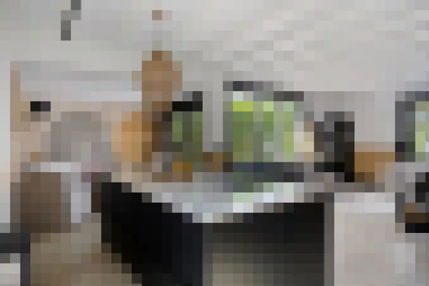 Noordeinde 1 Lambertschaag thumbnail 14