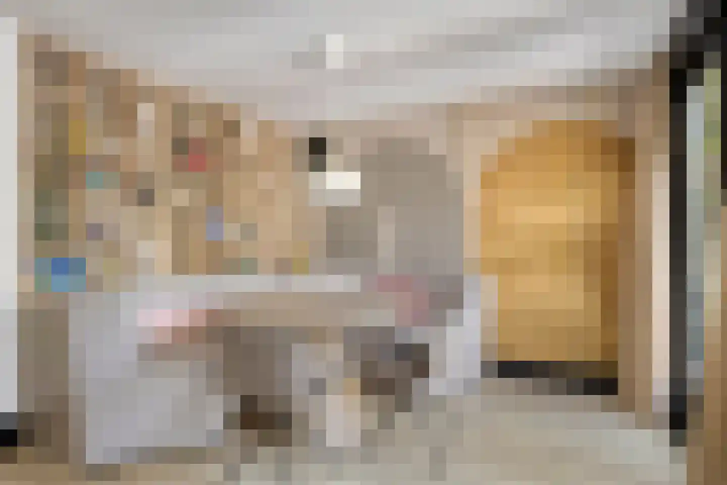 Noordeinde 1 Lambertschaag thumbnail 16